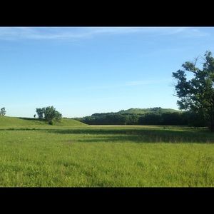 Meet your Posher, Haoran